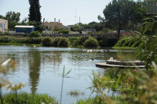 Conversano, gli irrisolti e terribili delitti della masseria e del laghetto